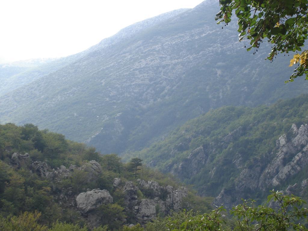 Holiday Home Paklenica Starigrad Paklenica Δωμάτιο φωτογραφία