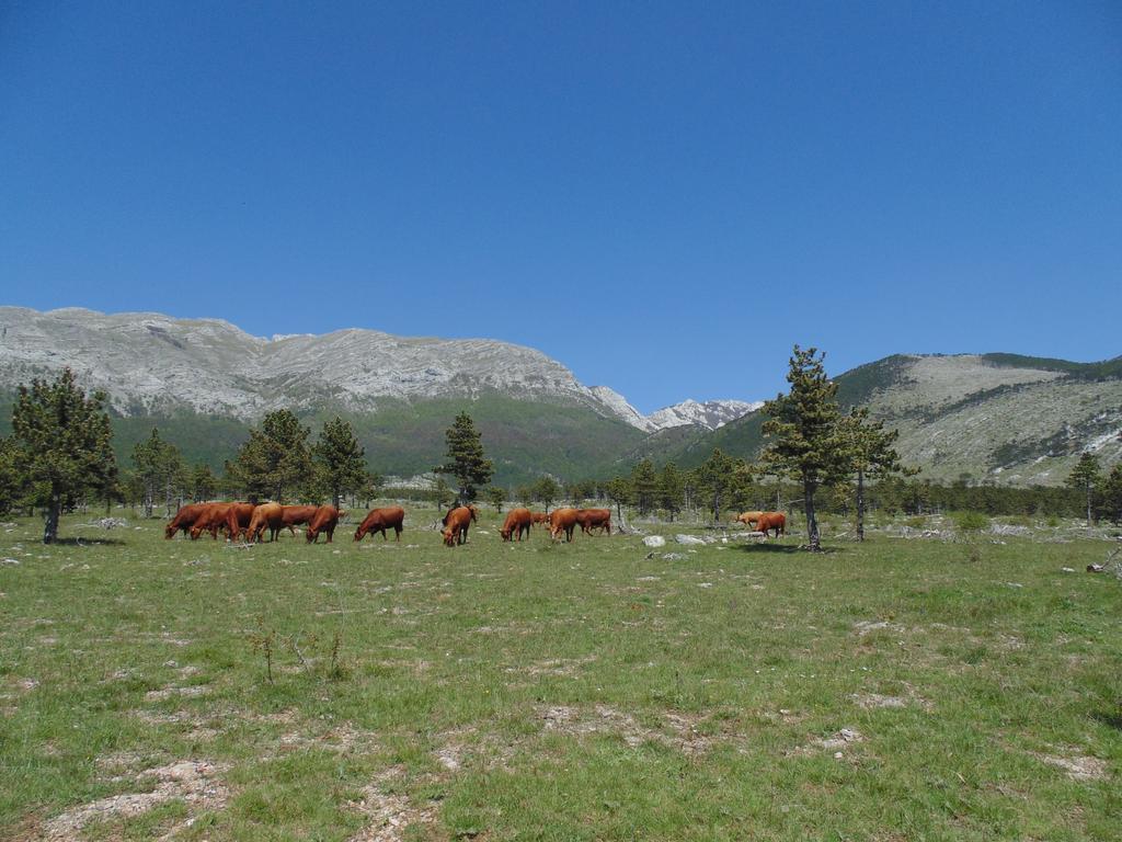 Holiday Home Paklenica Starigrad Paklenica Εξωτερικό φωτογραφία