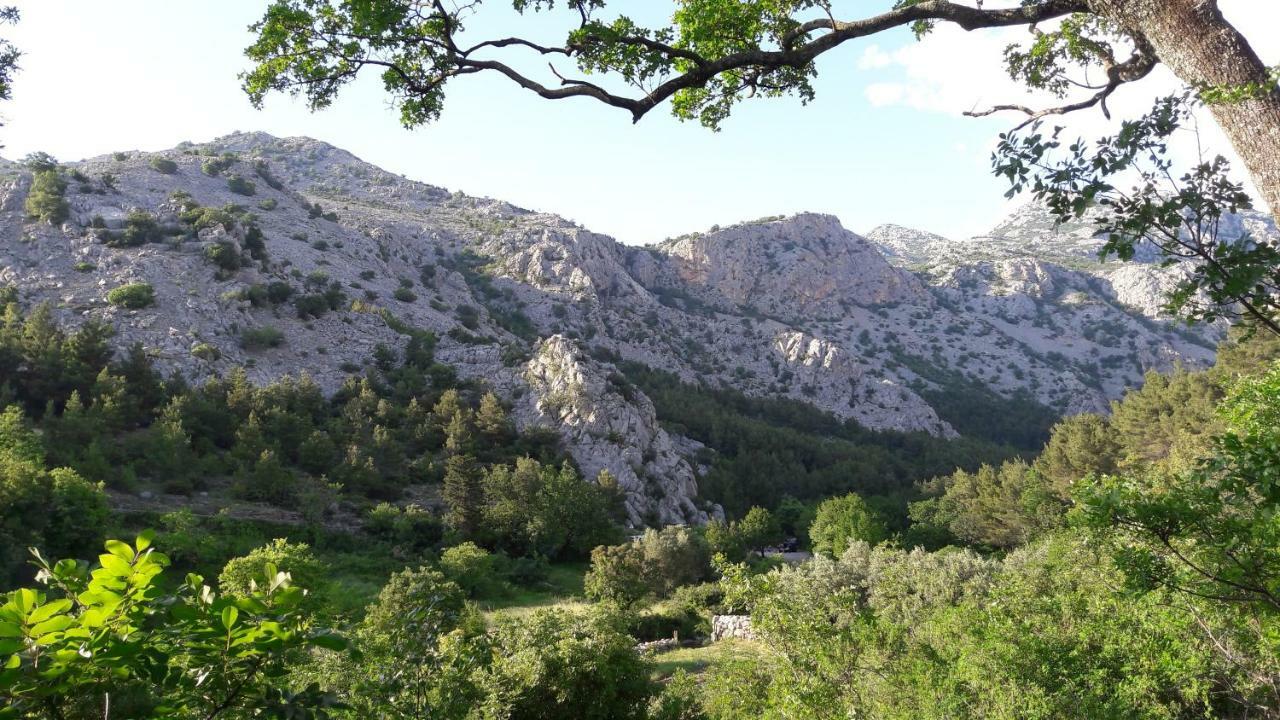 Holiday Home Paklenica Starigrad Paklenica Εξωτερικό φωτογραφία